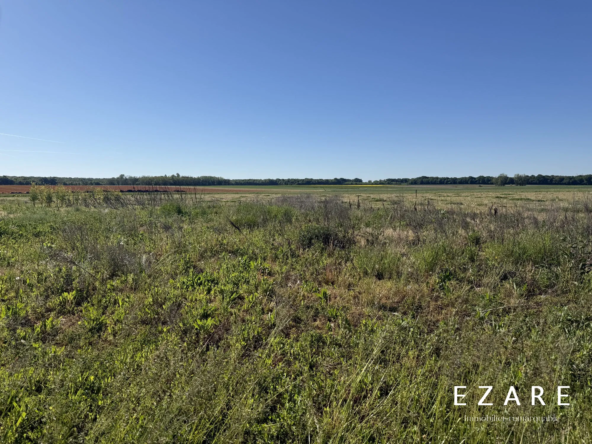 Terrain agricole de 5930 m² à Villy-le-Moutier - Non constructible et vue dégagée