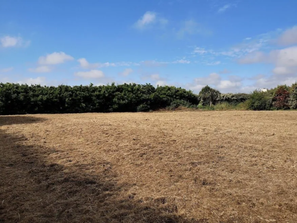 Terrain constructible de 1726 m² à vendre à Mespaul - Calme et ensoleillé