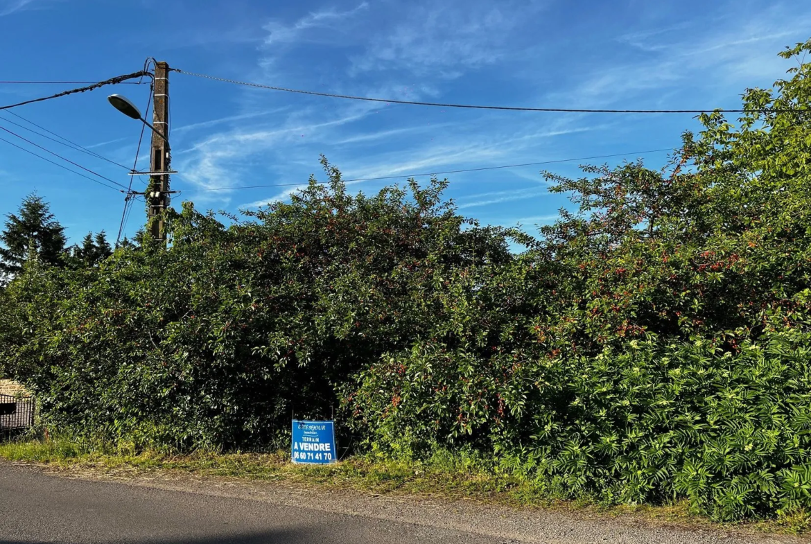 Terrain constructible de 1250 m² à Ige, village calme près de Mâcon et Cluny 