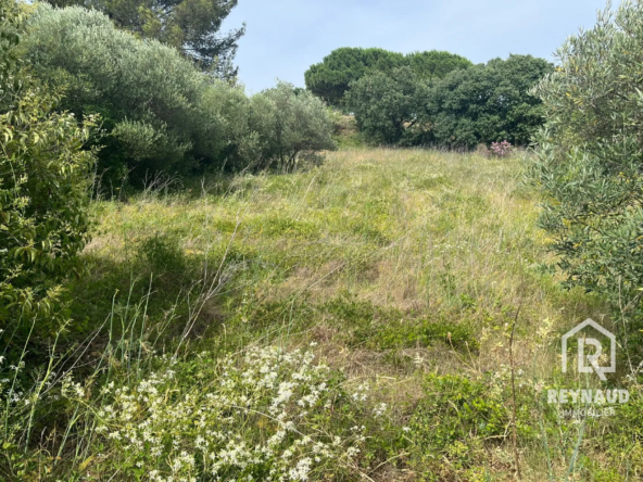 Vente terrain constructible à Aspiran, hors lotissement, plus de 2200 m²