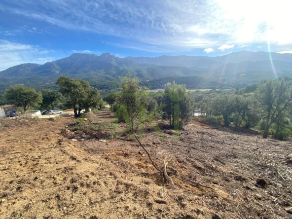 Terrain à bâtir avec vue panoramique à Tavaco, proche Ajaccio