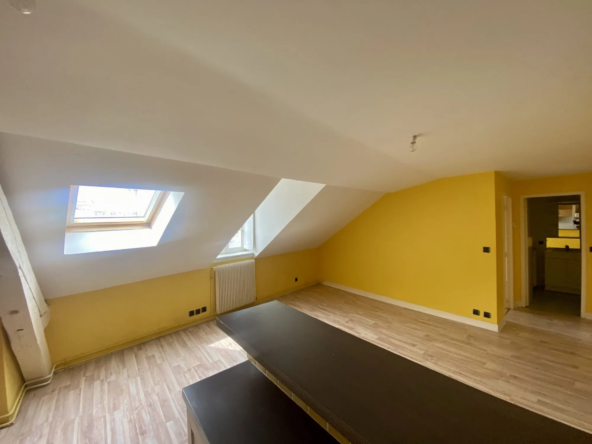 Appartement T2 à Limoges, hyper-centre, standing, lumineux