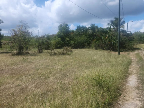 Terrain plat de 100m² à Sainte-Anne Guadeloupe, proximité Freddys House