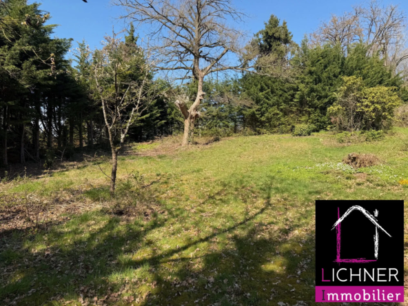 Terrain constructible de 825 m² à Saint-Avold en vente