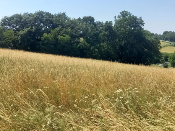À vendre terrain constructible de 1500 m² à Rieumes, proche Toulouse