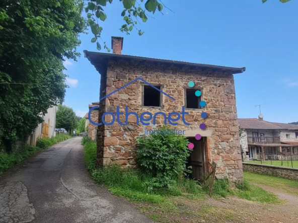 Petite maison en pierre à rénover à Le Cergne, 42460