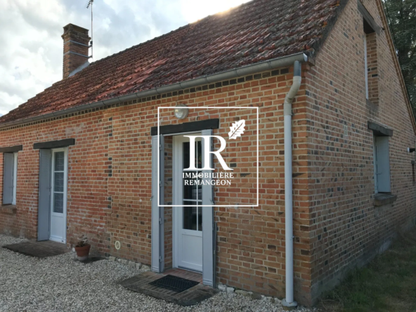 Belle maison solognote rénovée avec dépendances en Sologne proche de Neung-sur-Beuvron