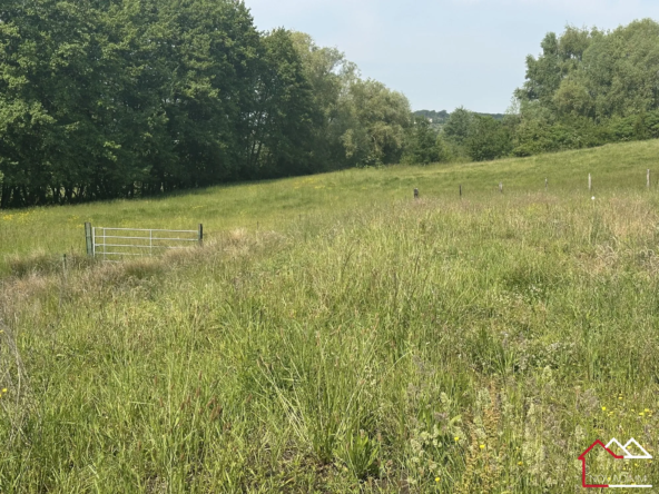 Terrains constructibles à Maizeroy - Opportunités immobilières dans un cadre bucolique