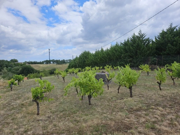 Terrain à vendre à Graulhet de 1150 m² avec vue dégagée, idéal pour construction