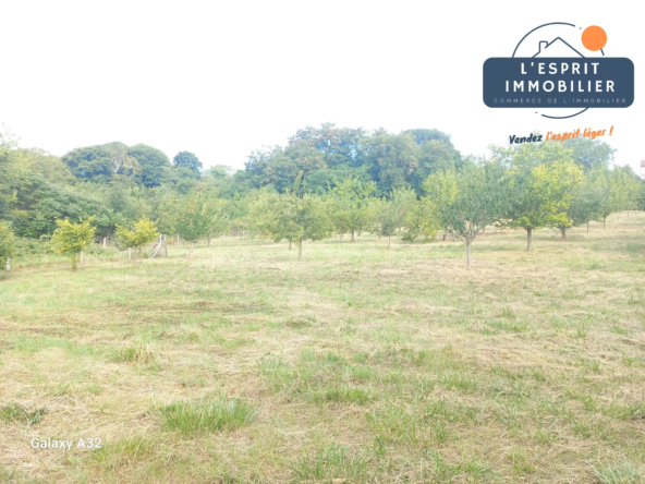 Terrain constructible de 3444 m² à Morhange avec potentiel de 500 m²