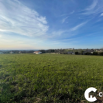 Terrains constructibles hors lotissement entre Thèze et Garlin - Campagne naturelle