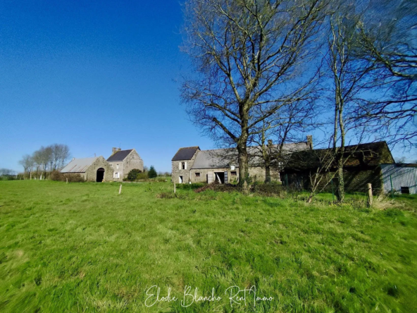 Ferme ancienne du XVIIIe siècle à Peaule avec terrain et potentiel de rénovation