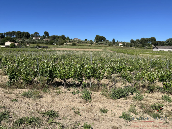 Vigne en fermage de 4 420 m² en appellation Bandol à Brûlat du Castellet
