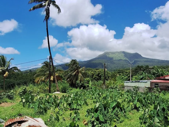 Terrain constructible de 1500 m² à Le Morne-Rouge en Martinique