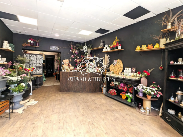 Fonds de commerce à vendre à Le Puy-en-Velay, magasin de fleurs et décoration