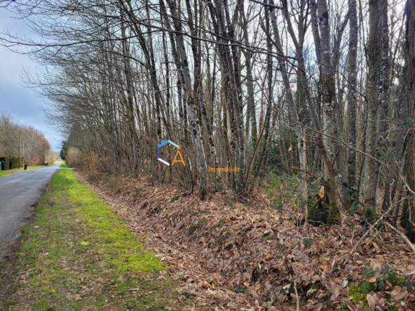 Terrain à vendre à Presly - 7 200 m² constructibles, calme et environnement naturel