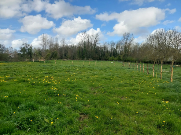 Terrain constructible non viabilisé avec accès à la rivière à Arras