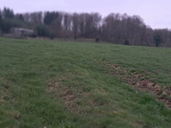 Terrain constructible à GERNELLE de 981 m² au prix de 44 000 €