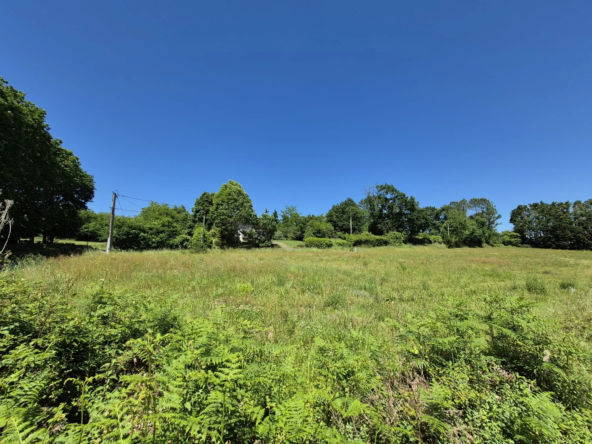 Terrain constructible de 903 m² avec vue sur les Pyrénées à Pouillon