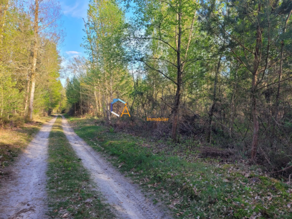 Terrain de 15 ha à vendre à Neuvy-sur-Barangeon, réserve de chasse et espace naturel