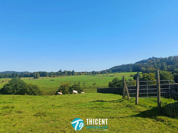 Terrain constructible à Reipertswiller de 5 243 m² avec vue sur le Château de Lichtenberg