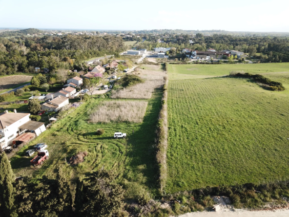 Terrains constructibles viabilisés à Aléria – Vue dégagée et proximité centre