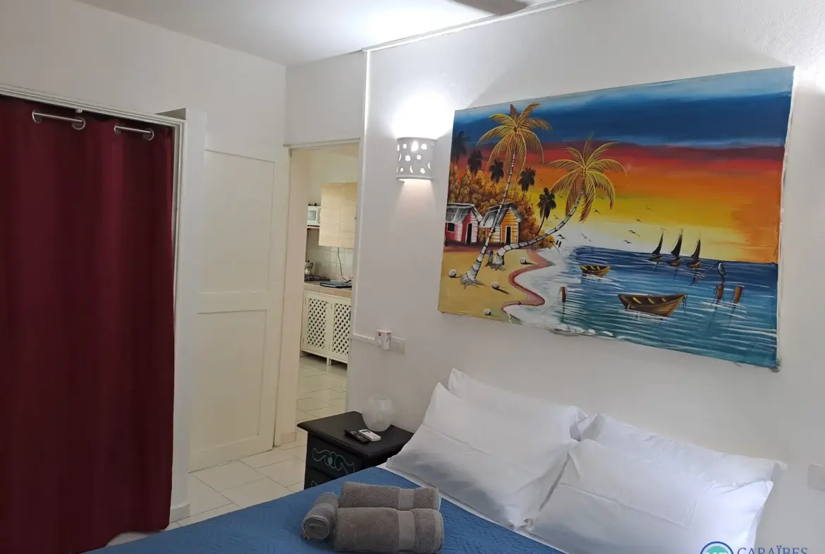 Superbe appartement T2 meublé avec terrasse et piscine à Las Terrenas 