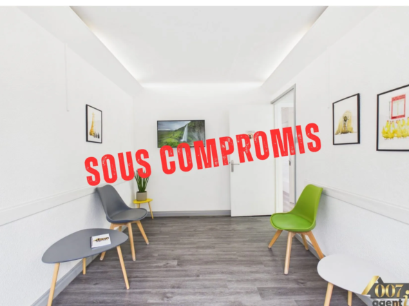 Appartement T3 rénové à Montmélian, investissement ou habitation