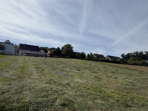 Terrain constructible de 1856 m² à Riespach, Sundgau, à vendre