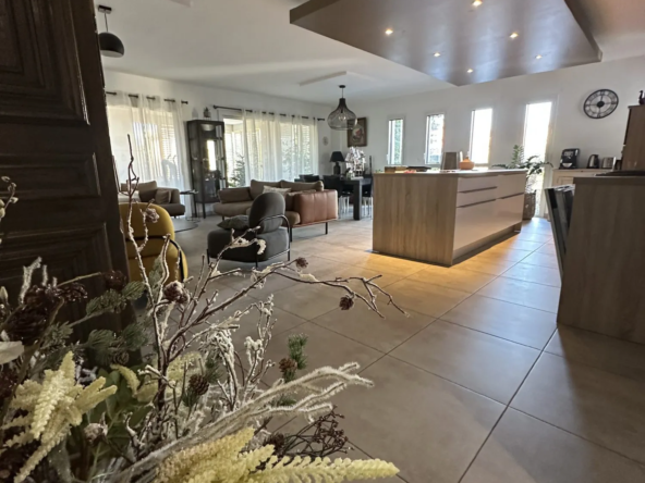 Appartement de luxe en viager occupé avec grande terrasse au centre d'Alès