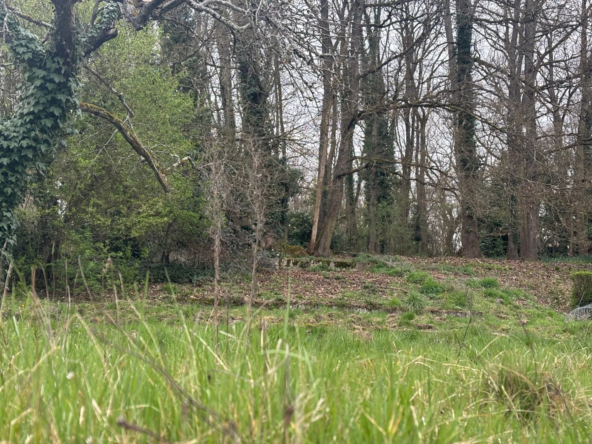 Terrain à bâtir de 1661 m² à Saint-Pierre Les Nemours - idéal construction