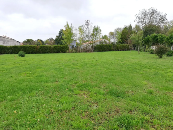 Terrain à bâtir de 800 m² à Marigny – Opportunité à saisir