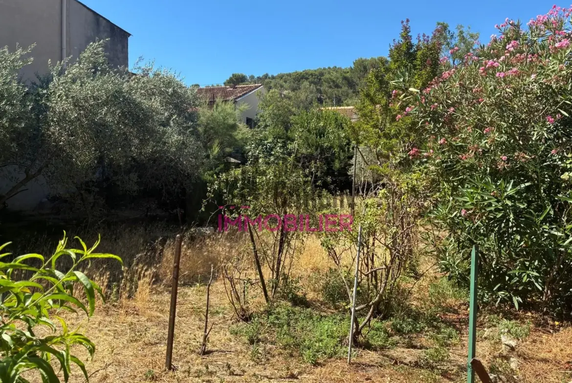 Maison de plain-pied avec grand jardin et remise à Cavaillon 