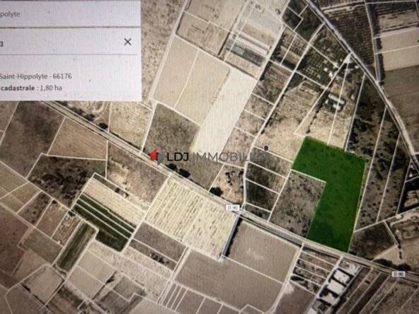 Terrain agricole de 1,80 ha à Saint-Hippolyte avec accès direct
