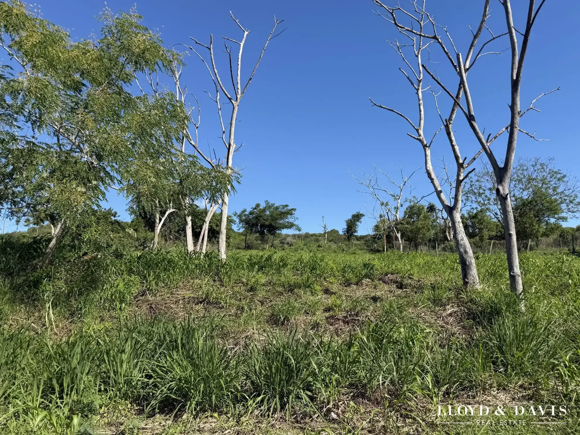 Terrain à vendre à Rivière Noire - 962 m² dans un quartier calme et recherché 