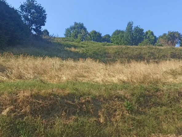 Terrain constructible à Dampniat - 1615 m² dans environnement calme