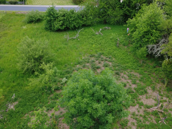 Terrain constructible à vendre à Sugères - 3082 m² avec possibilité d'agrandissement