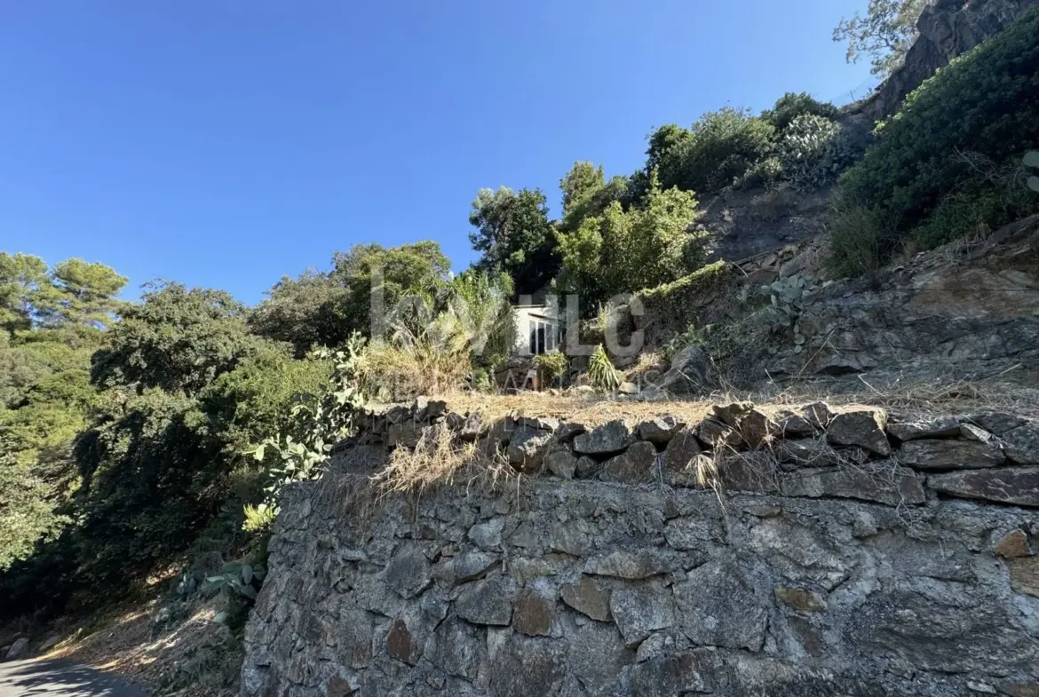 Maison 2 pièces à rénover avec grand terrain au Golfe-Juan 