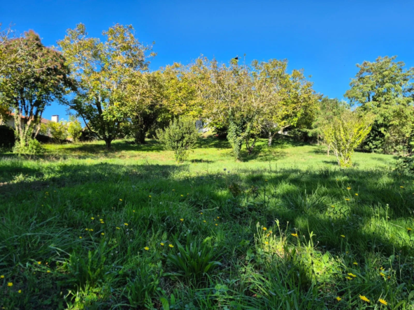Terrain constructible viabilisé de 1437 m² à Castelnau d'Estrétefonds, idéal pour construire