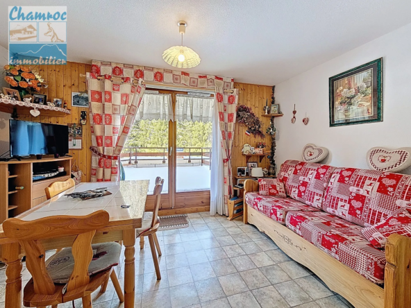 Charmant studio meublé avec terrasse à Château - 21,20 m²