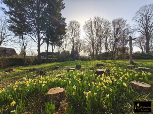 Terrain à vendre à Villeconin - Opportunité rare en environnement naturel