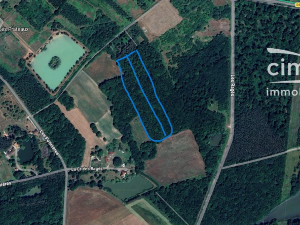 Terrain boisé non constructible à vendre à Varennes-Changy - 9 015 m²