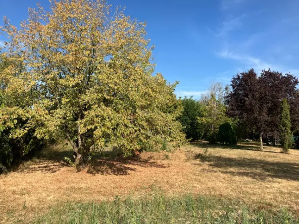 Terrain constructible de 568 m² à Querré, Anjou - Viabilisé et idéal pour votre projet immobilier