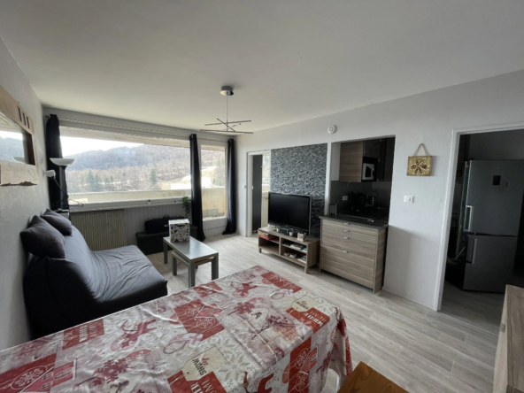 Appartement T2 de 36 m² à Besse-et-Saint-Anastaise, parfait pour investissement ou pied-à-terre