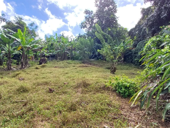 Terrain constructible de 1000m² avec vue campagne au Lamentin