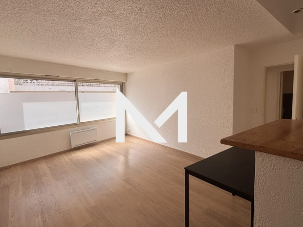 Appartement T2 à vendre à Grenoble Île Verte | Proche tramway et commodités