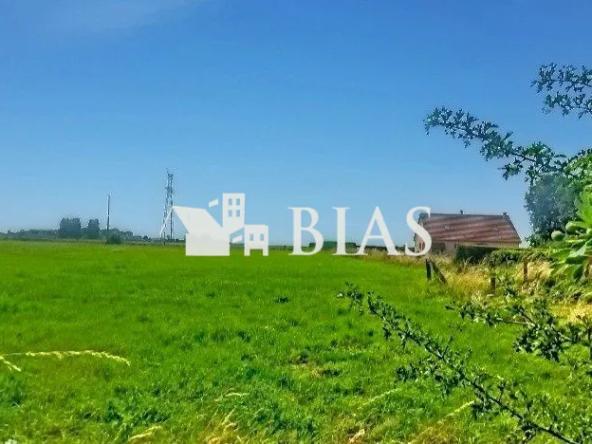 Terrain constructible de 1000 m² à Colletot dans un environnement paisible
