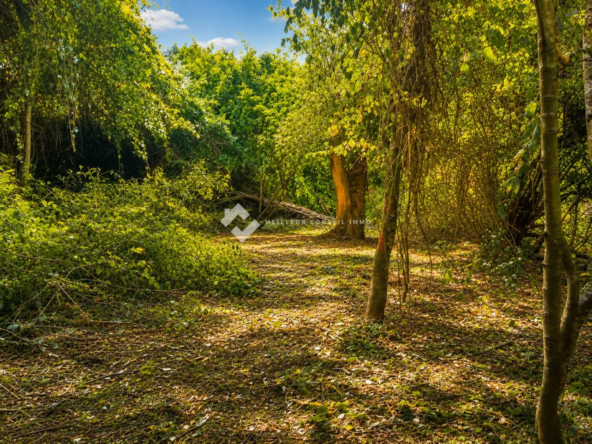 Terrain constructible de 1 212 m² à Pruno en Corse dans un cadre naturel préservé