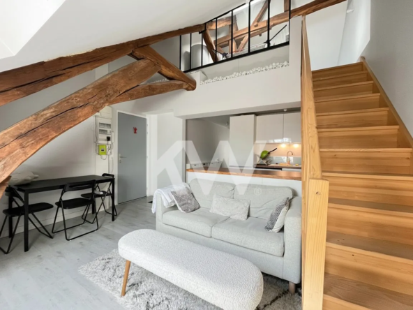 Charmant duplex lumineux à Orléans proche Loire, idéal premier achat ou investissement