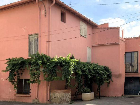 Grande maison de village avec terrasse, garage et potentiel de rénovation à Baixas